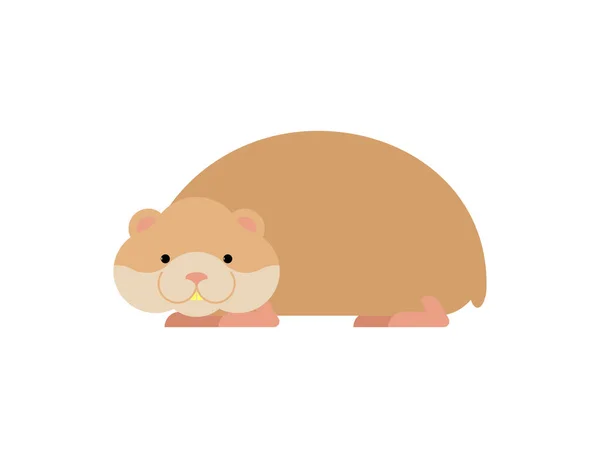 Hamster geïsoleerd. Schattig huisdier op witte achtergrond. Home knaagdier — Stockvector