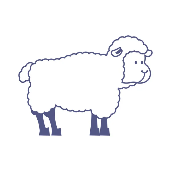 Koyun çiftlik izole hayvanı. Beyaz arka plan üzerinde Ewe — Stok Vektör