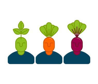 Office sebze yöneticileri. Havuç ve pancar. office sta kümesi
