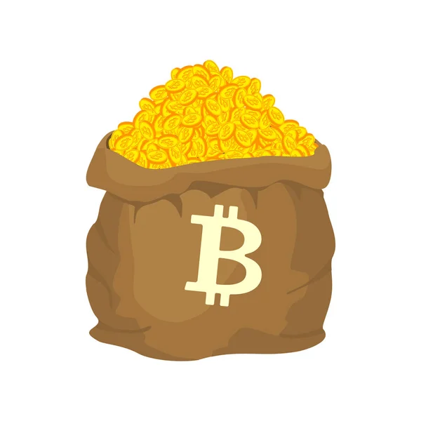 Coin Bitcoin Cryptocurrency Symbol Money Bag Stock Photo 2324299285 |  Shutterstock