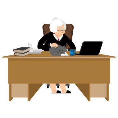 Eski iş kadını. İş büyükanne. Laptop ve kedi. Durumda bir