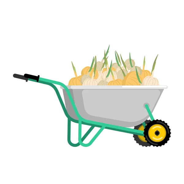 Wheelbarrow and onion. vegetables in garden trolley. big harvest — Stock Vector