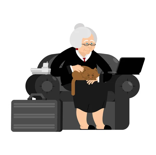 Vieille femme d'affaires. Grand-mère d'affaires. Ordinateur portable et chat. Cas un — Image vectorielle