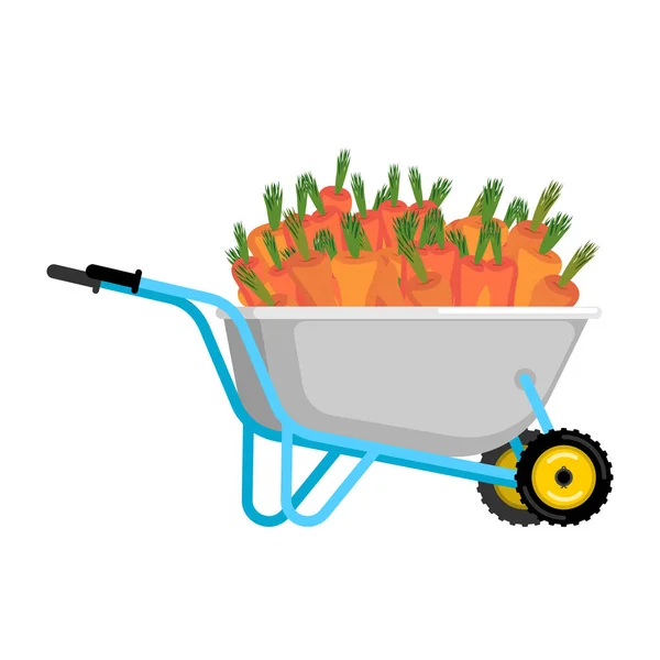 独轮手推车和胡萝卜。在花园小车的蔬菜。大收获 — 图库矢量图片