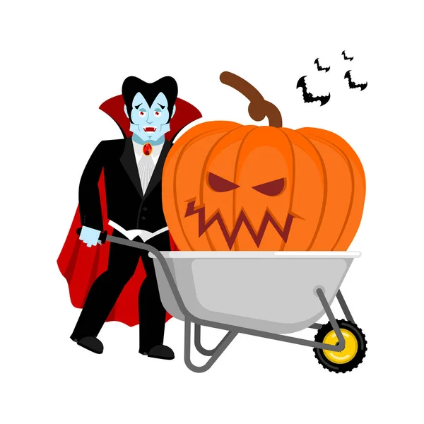 Carretilla de Halloween y Drácula vampiro. calabazas terribles grandes — Vector de stock