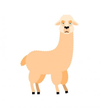 Lama alpaka üzücü. Hayvan kederli emoji. Vektör çizim