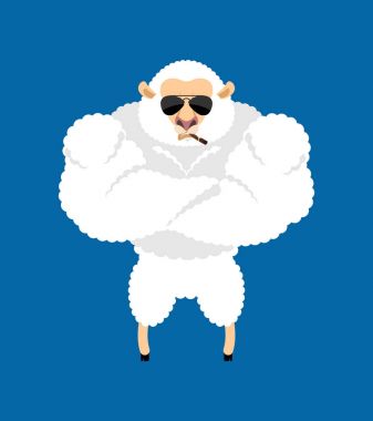 Koyun güçlü serin ciddi. Ewe yasaktır puro emoji. Çiftlik hayvanı 