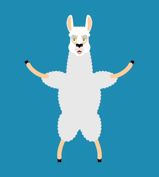 Lama Alpaca heureux. Émoji joyeux des animaux. Illustration vectorielle — Image vectorielle