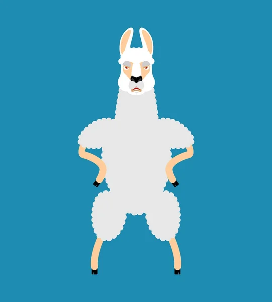 Lama Alpaca enojada. Emoji malvado animal. Ilustración vectorial — Vector de stock