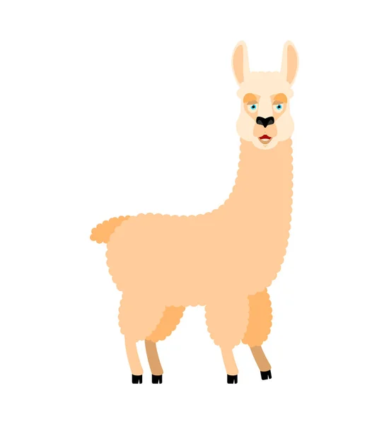 Lama Alpaca happy. Animal merryl emoji. Vector illustration — Stock Vector