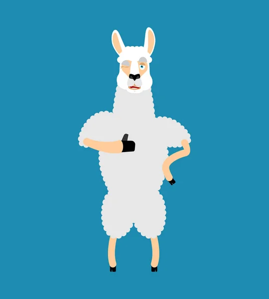 Lama Alpaca pulgares hacia arriba y guiños emoji. Emoji feliz animal. Vecto. — Vector de stock