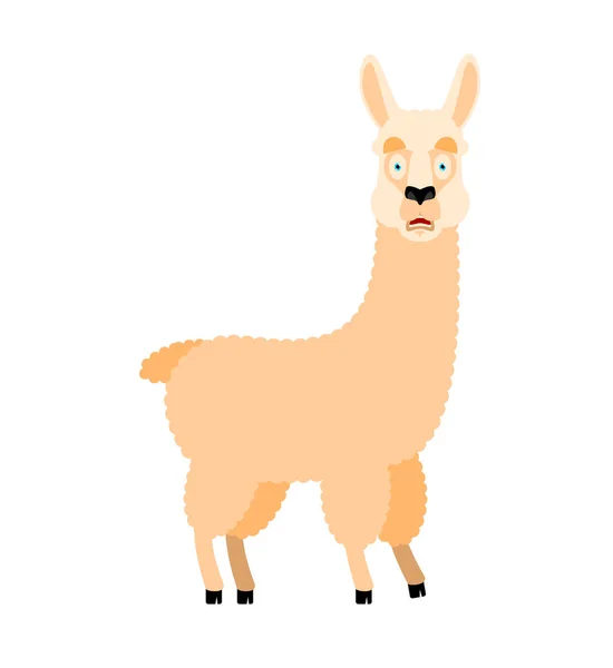 Lama Alpaca scared OMG. Animal Oh my God emoji. Frightened beast — Stock Vector