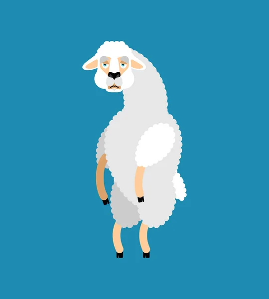 Lama Alpaca sedih. Emoji binatang yang sedih. Ilustrasi vektor - Stok Vektor