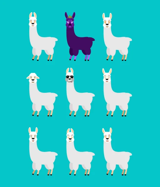 Lama Alpaca mengatur avatar emosi. wajah sedih dan marah. Bersalah dan - Stok Vektor