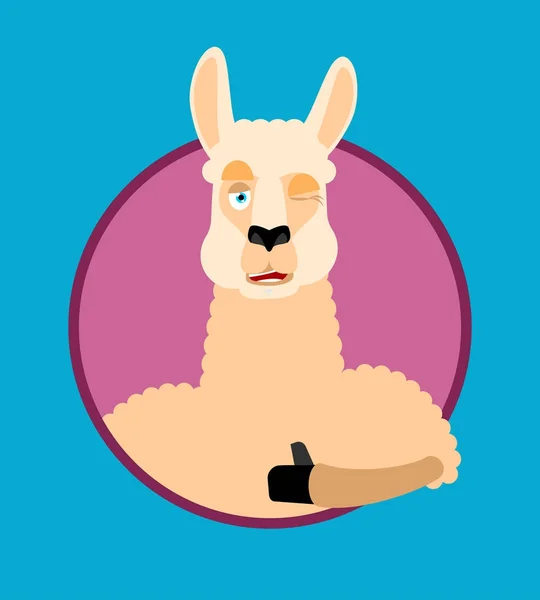 Lama Alpaca pulgares hacia arriba y guiños emoji. Emoji feliz animal. Vecto. — Vector de stock