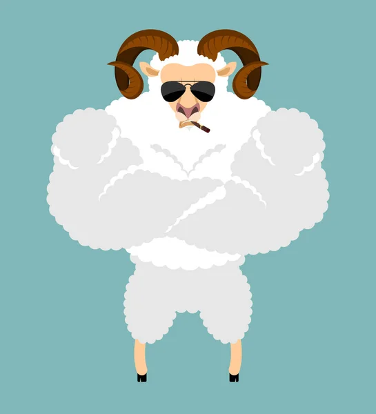 Ram Strong Cool sérieux. Moutons fumant emoji cigare. Animaux de ferme — Image vectorielle
