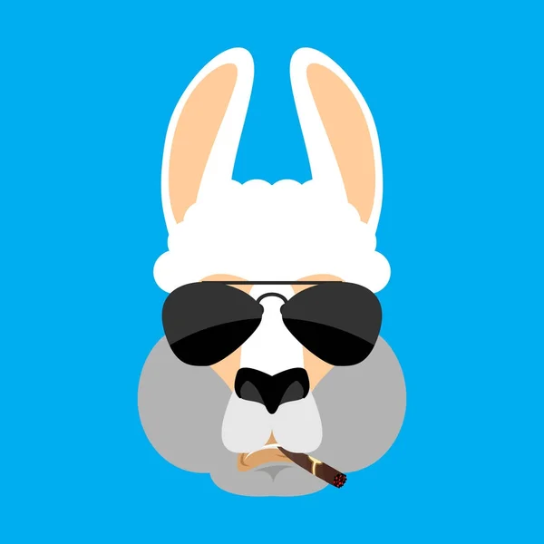 Cool avatar Lama Alpaka vážnou tvář. Zvířecí kouření doutníku emoji — Stockový vektor