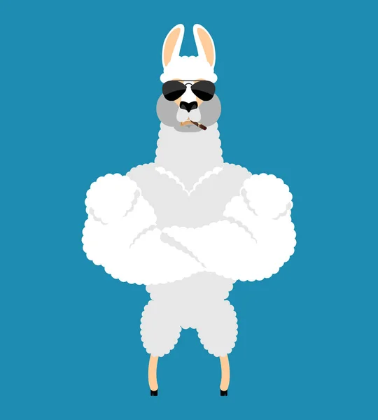 Lama Alpaca Strong Cool sério. Emoji de charuto para animais. Seja — Vetor de Stock