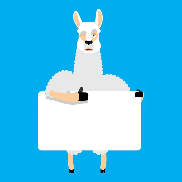 Lama Alpaca memegang banner kosong. Binatang dan kulit putih kosong. Binatang - Stok Vektor