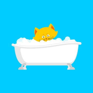 Kedi, banyo. Pet yıkanır. Vektör çizim