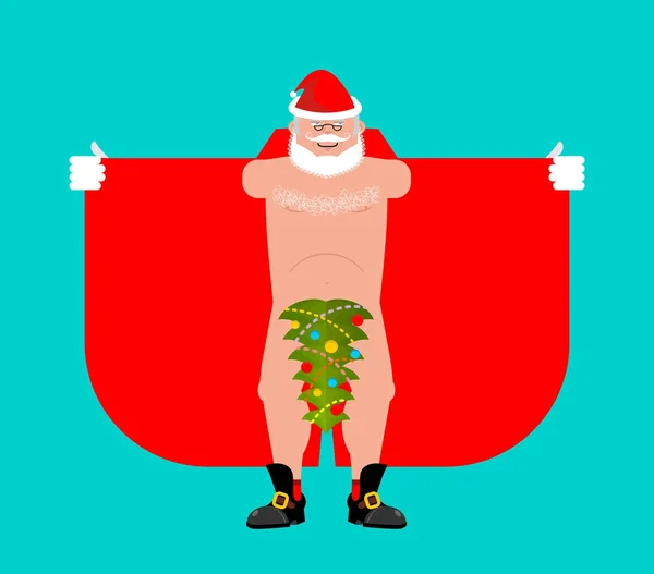 Santa Claus exhibicionista és elszigetelt karácsonyfa. Karácsony — Stock Vector