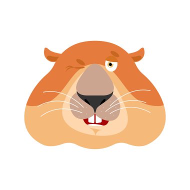 Dağ sıçanı wink emoji. Dağ sıçanı neşeli duygular. Neşeli bir sıçan. G