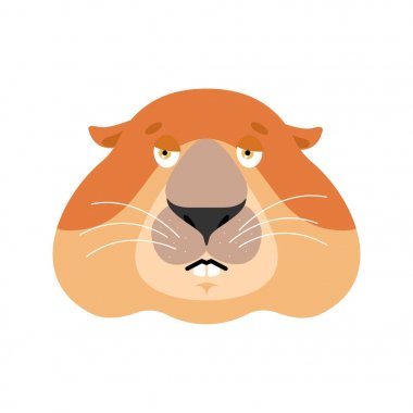 Dağ sıçanı üzgün emoji. Dağ sıçanı kederli duygular. Sıkıcı bir sıçan. 