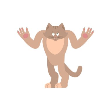 Oops şaşkın kedi. Evde beslenen hayvan çapraşık duygular. Kitty sürpriz. Vecto