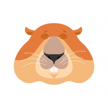 Köstebek Emoji uyuyor. Dağ sıçanı uykuda duygular. Dağ sıçanı yurt