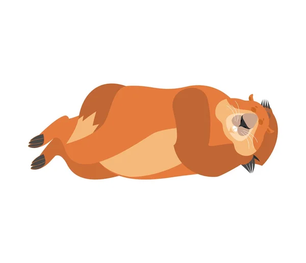 Marmotta che dorme. Woodchuck addormenta le emozioni. Marmotta dormiente. G — Vettoriale Stock
