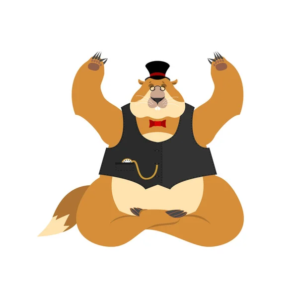Jour de la marmotte. Marmotte au chapeau yoga. Yogi Woodchuck isolé. M — Image vectorielle
