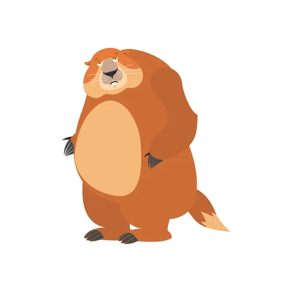 Groundhog sad. Woodchuck sorrowful emotions. Marmot dull. Ground