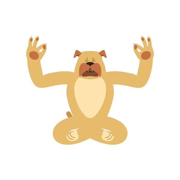 Hund yoga. Sällskapsdjur yogi. Bulldog avslappning och meditation. Vector il — Stock vektor