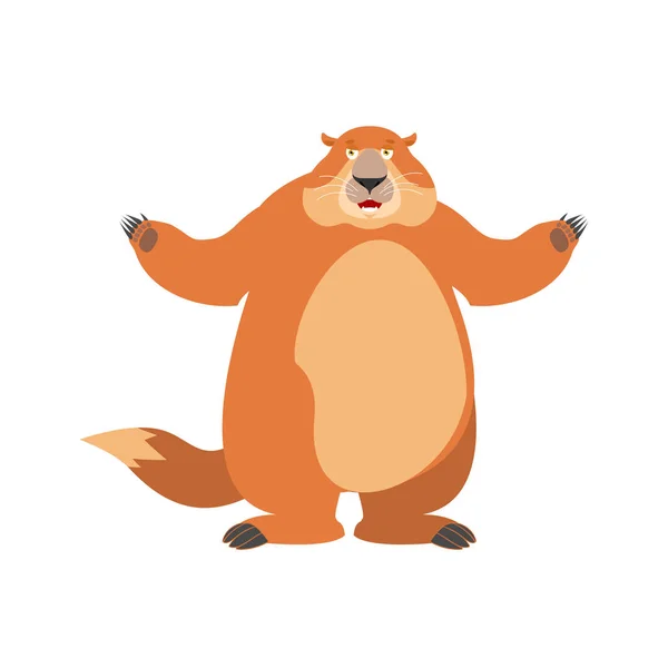 Marmota feliz. Emociones alegres Woodchuck. Marmot Joyful. Terreno — Vector de stock