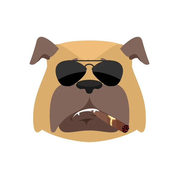 Dog Cool serious avatar of emotions. Pet smoking cigar emoji. bu — Stock Vector