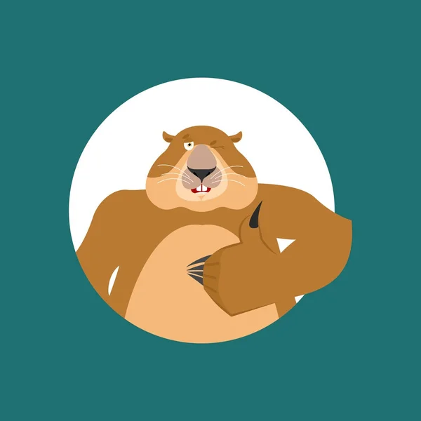 Groundhog pulgares hacia arriba y guiños. Woodchuck feliz emoji. Marmota. — Vector de stock