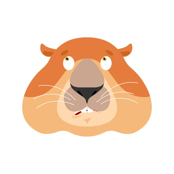 Groundhog mylić emoji oops. Świstak zakłopotany emocje. Mar — Wektor stockowy