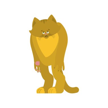 Kedi üzücü. Evde beslenen hayvan kederli duygular. Kitty sıkıcı. Vektör çizim