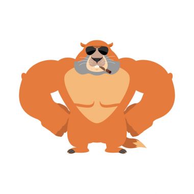 Dağ sıçanı güçlü serin ciddi. Dağ sıçanı yasaktır puro emoji. Ma