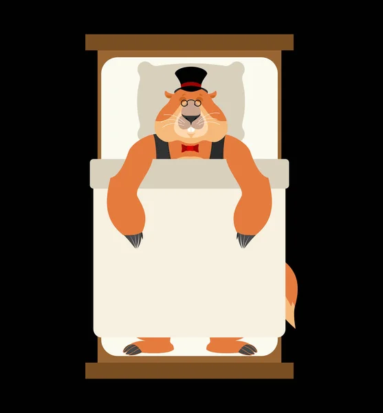 Groundhog day. Groundhog in Hat op bed te slapen. Marmot aslee — Stockvector