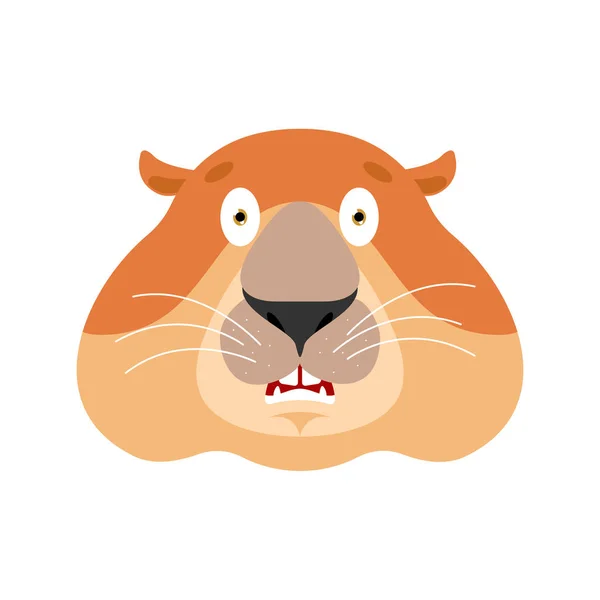 Marmotta spaventata OMG. Woodchuck Oh mio Dio emoji. Marmo spaventato — Vettoriale Stock