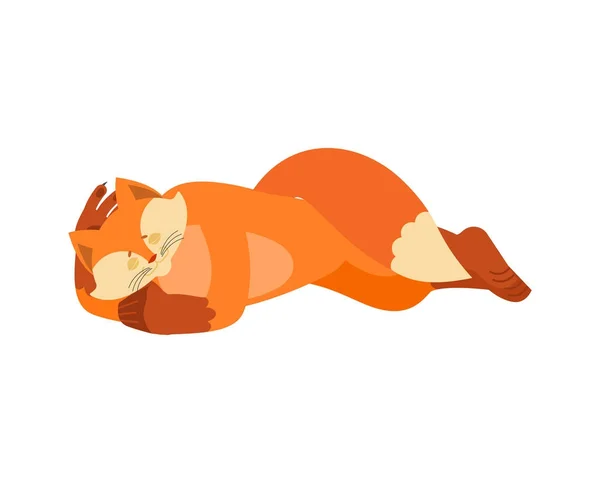 Taş gibi uyuyor. Hayvan uyurken. o fox atıl. Vektör illustratio — Stok Vektör