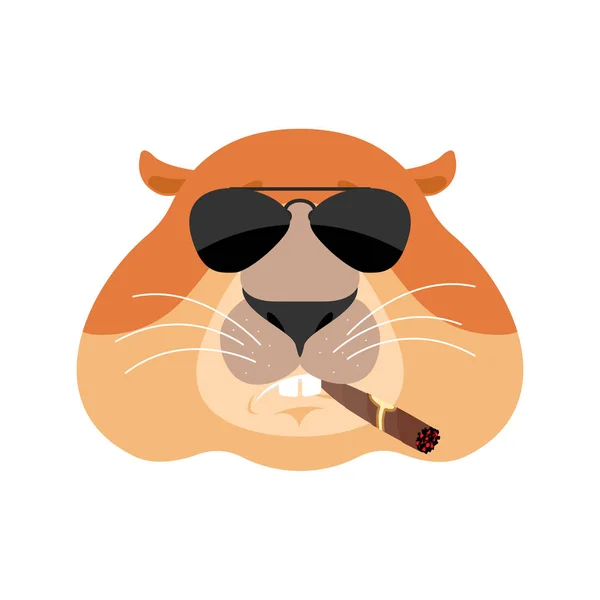 Groundhog Cool ernstige avatar van emoties. Marmot roken sigaret — Stockvector
