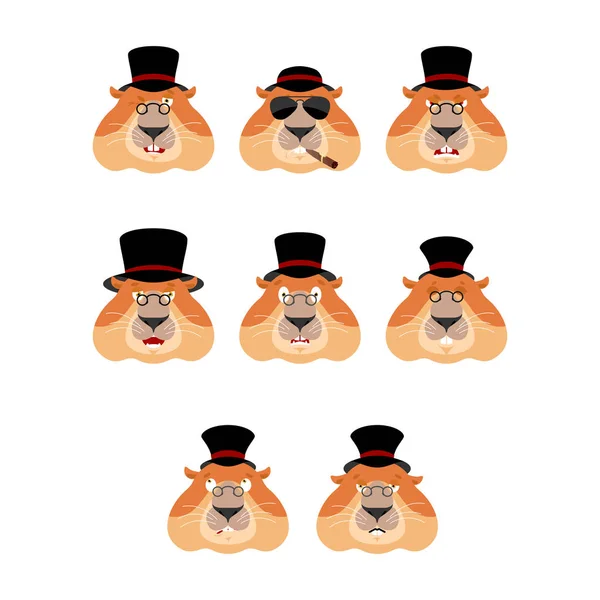 Día de la marmota. Marmota en Sombrero set emoji avatar. triste y enojado — Vector de stock