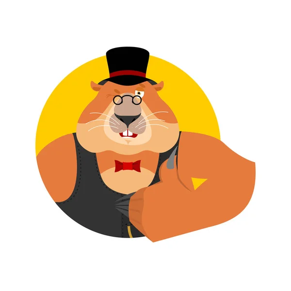 Día de la marmota. Marmota con sombrero pulgares hacia arriba y guiños. Woodchuck h — Archivo Imágenes Vectoriales