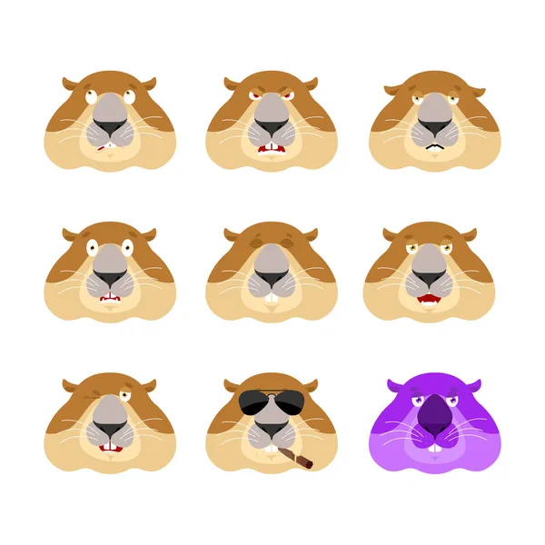 Mormota beállítani emoji avatar. szomorú és dühös arcát. bűnös és az alvás — Stock Vector