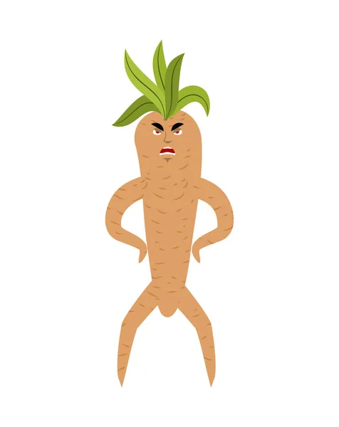 Mandrake wortel boos. Kwaad legendarische mystieke plant in de vorm van ma — Stockvector