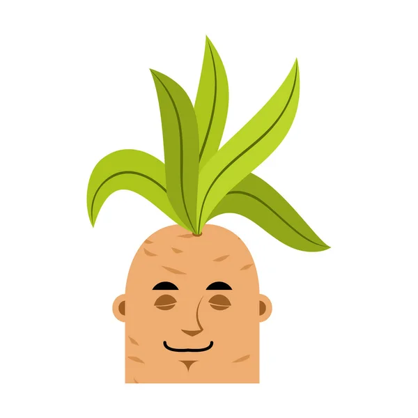 Mandrake raiz emoji adormecido. Dormir Planta mística lendária em — Vetor de Stock