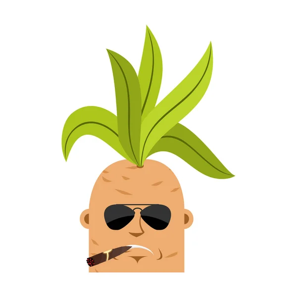 Mandrake wortel Cool ernstige avatar emoji. Rookvrije sigaar emotie L — Stockvector