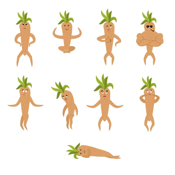 Mandrake root set poses y movimiento. Feliz legendario pla místico — Archivo Imágenes Vectoriales